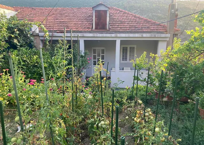 Marija Apartment